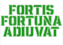 do professional embroidery digitizing wilcom fast delivery